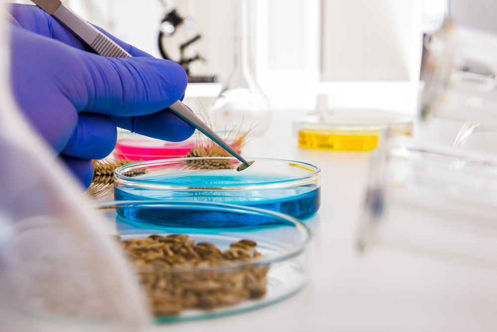 Seed Coating Treatment Colorants For Agriculture