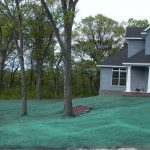 LawnHydroseed-150x150 LawnHydroseed-150x150