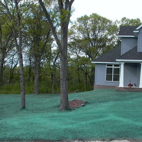 LawnHydroseed LawnHydroseed
