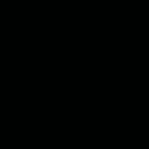 Black 2835