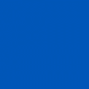 Blue 3GN 2010*