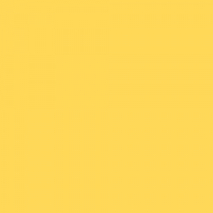 Fast Light Yellow 2G
