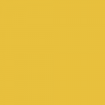 Fast-light-yellow-3G.png