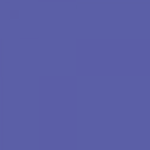 Violet WN