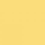 Yellow-83.jpg