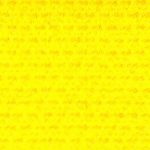 nylon10-yellowGY.jpg