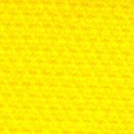 nylon30-yellowGY.jpg