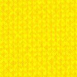 nylon30-yellowVG.jpg
