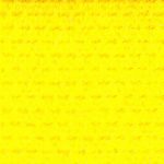 nylon50-yellowGY.jpg