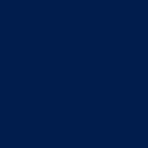 Navy Blue BT 200%